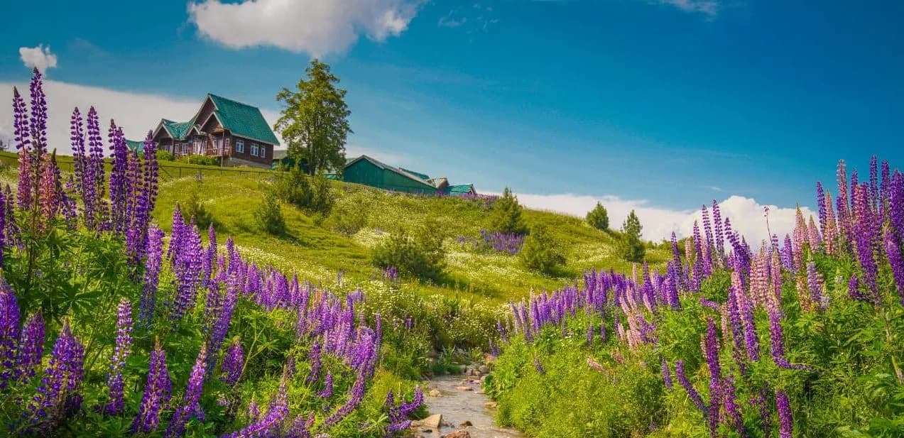 Honeymoon - Kashmir Magic Moments with Gulmarg Excursion